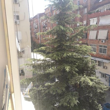 Jolie Center Apartment Tiranë Eksteriør bilde